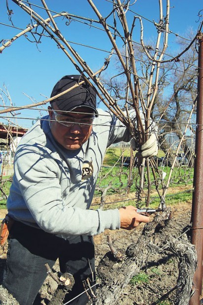 Pruning